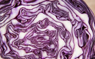 Dieta Kapuściana – przeciwwskazania i jadłospis