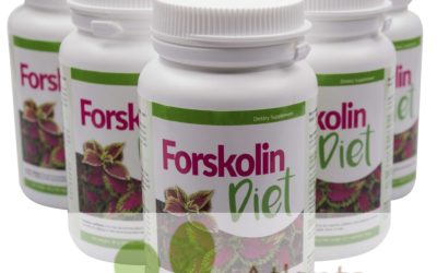 Forskolin Diet – tabletki na odchudzanie